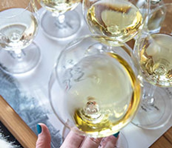 How to host a wine tasting