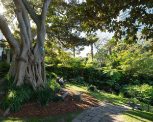 Two people sitting in the sun in Wendy's Secret Garden