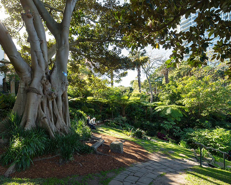 Two people sitting in the sun in Wendy's Secret Garden