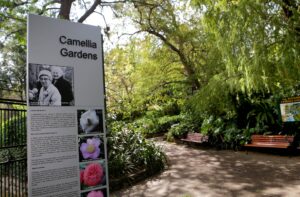 Entrance to Camellia Gardens