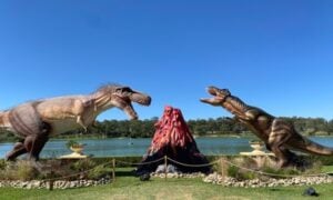Mega Creatures at Hunter Valley Gardens