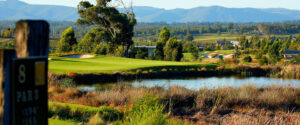 The Vintage golf course