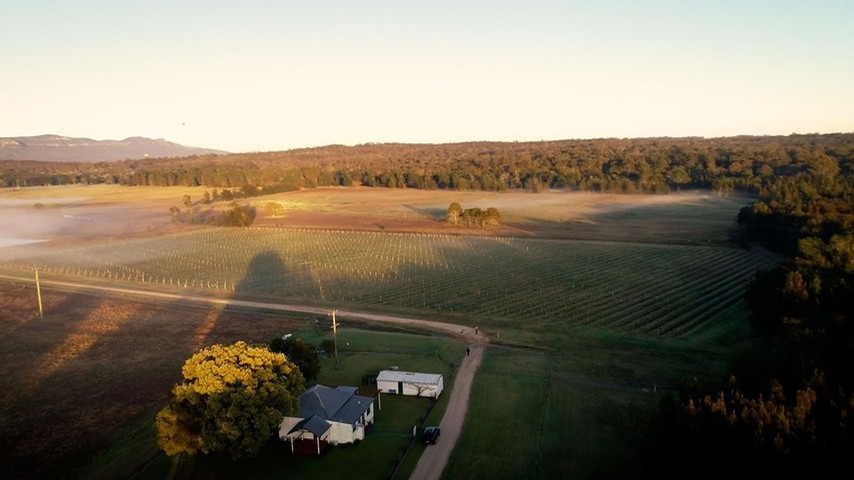 Aerial View of The Cottage Vineyard