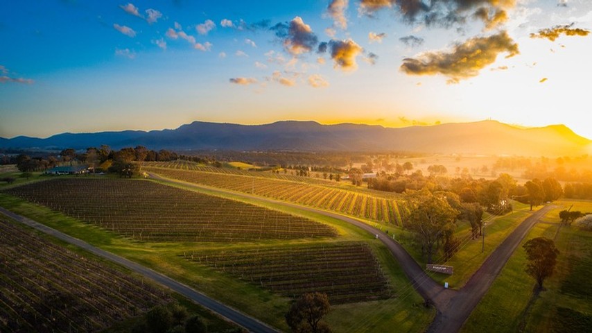 Aerial view of Gillards Road Vineyard