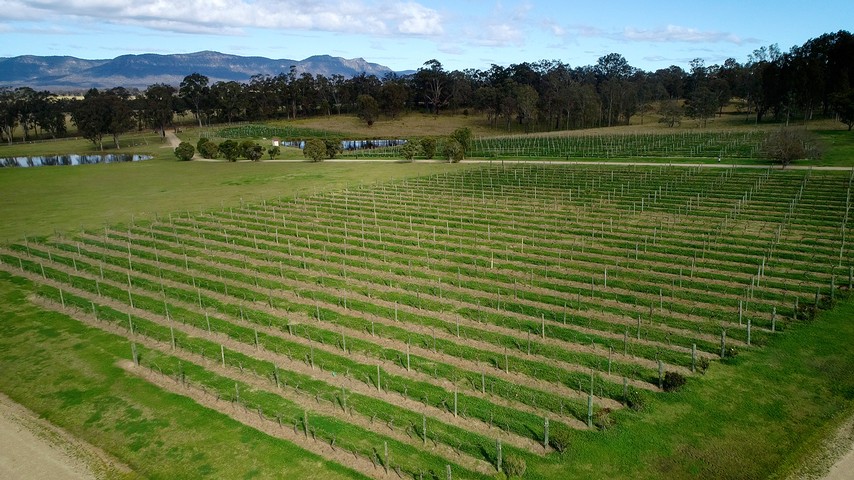 Aerial View of Old North Road Vineyard 
