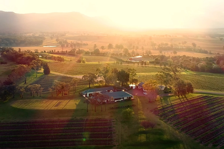 Scarborough Wine Co vineyard from above